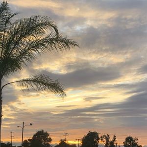 Meet your Posher, Camila